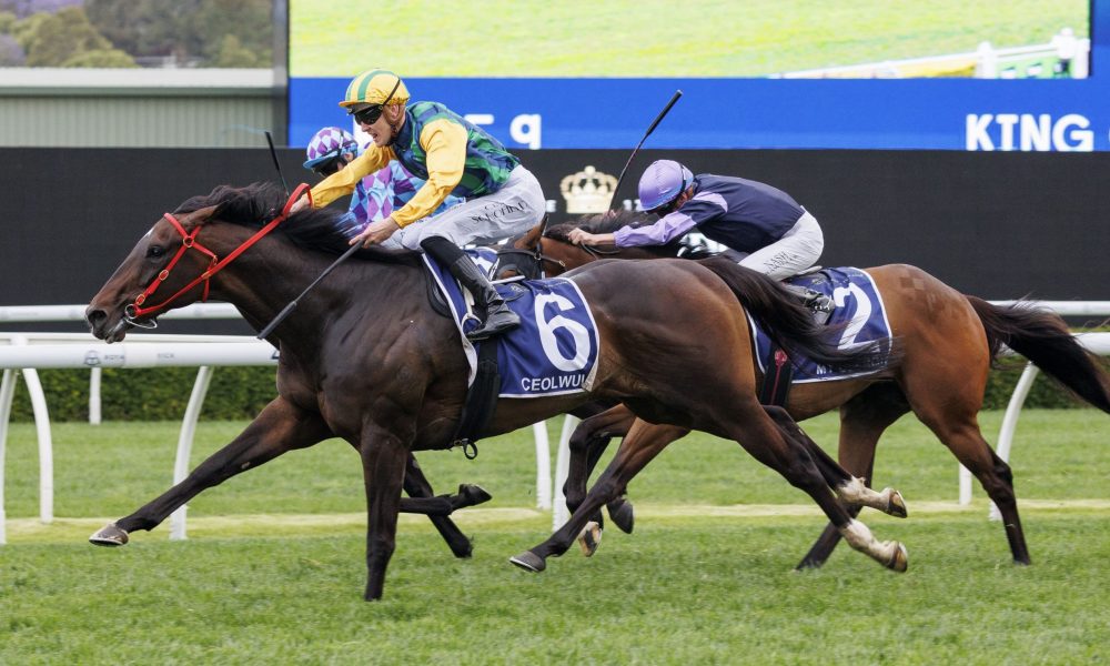 关注球员培 关注球员培