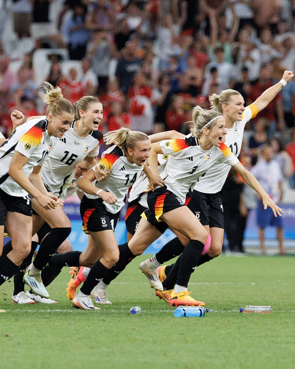 顯示了這屆 顯示了這屆